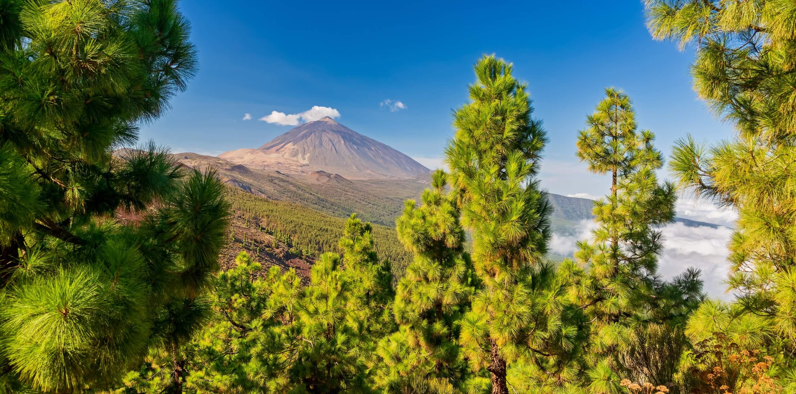 Teide på Tenerife Udsigt til vulkanen Teide på Tenerife